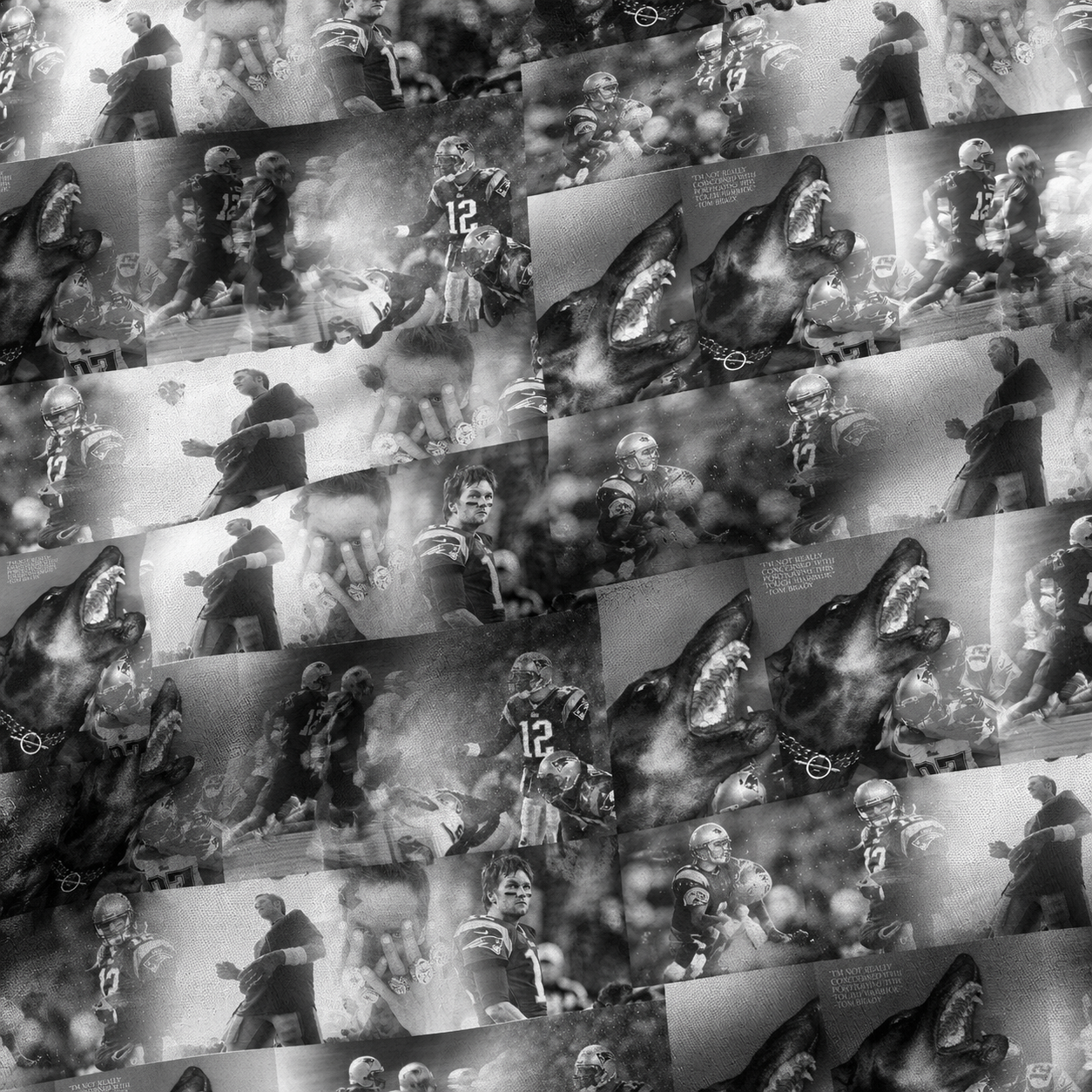 TB12 Vogue Fabric